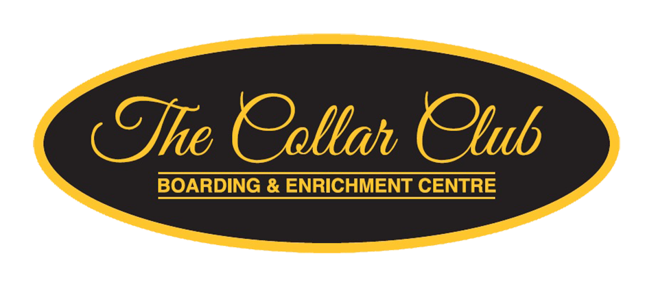The Collar Club